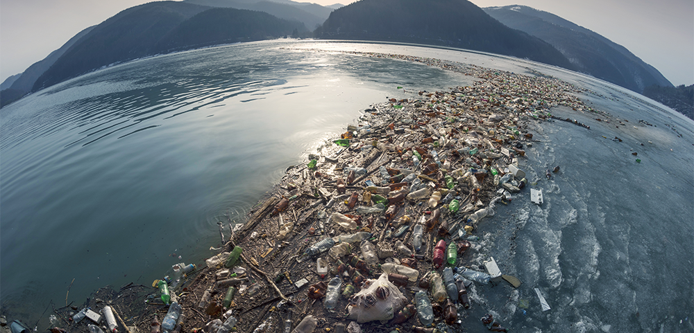 捨てられたプラスチックが引き起こす問題